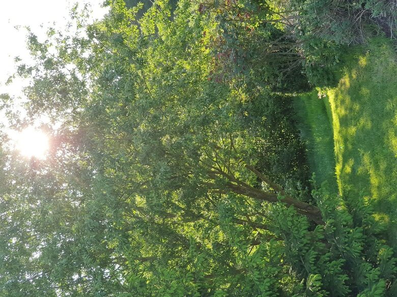Charming Apartment In Weinsheim With Garden