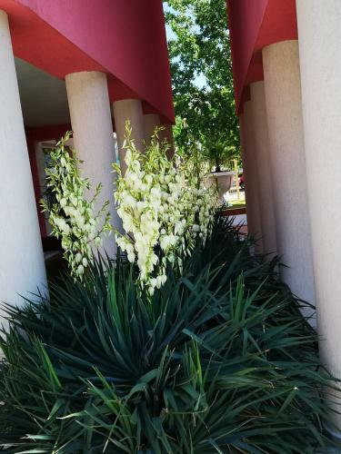 Aparthotel Rose Garden Omax Hotel Apartments