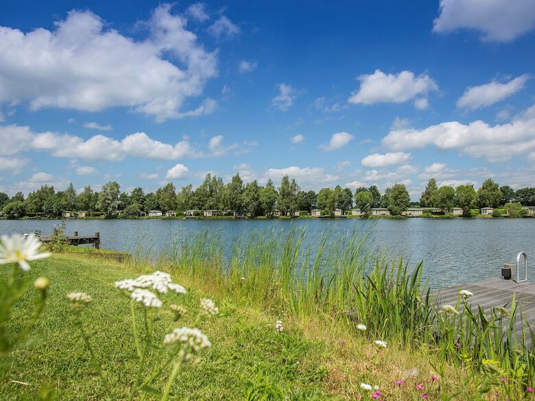 Comfortable Bungalow With A Combi Microwave, In Green Twente