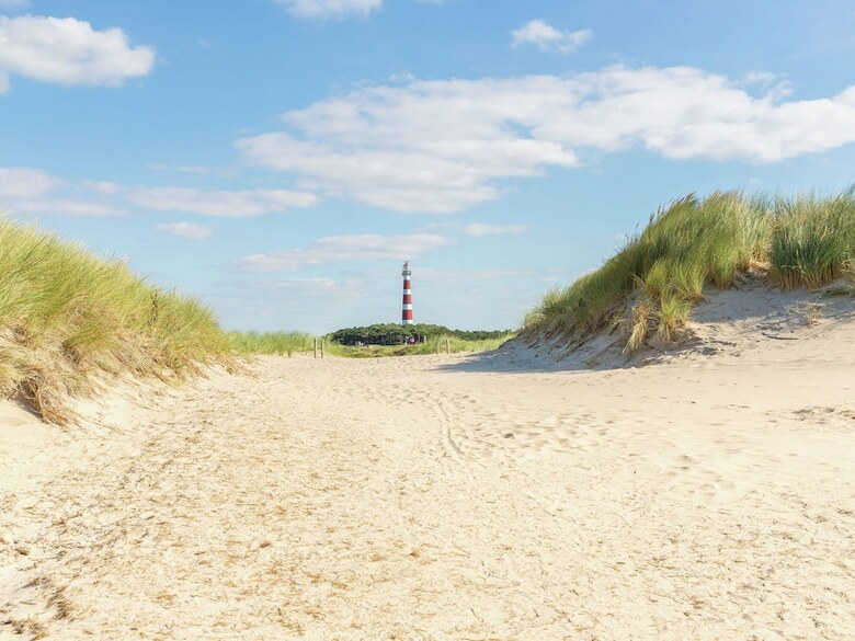 Well-kept Bungalow With Dishwasher, 1.5 Km. From The Beach