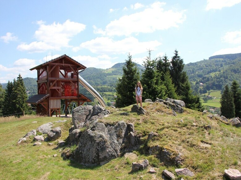 Cozy Chalet With Dishwasher, In The High Vosges