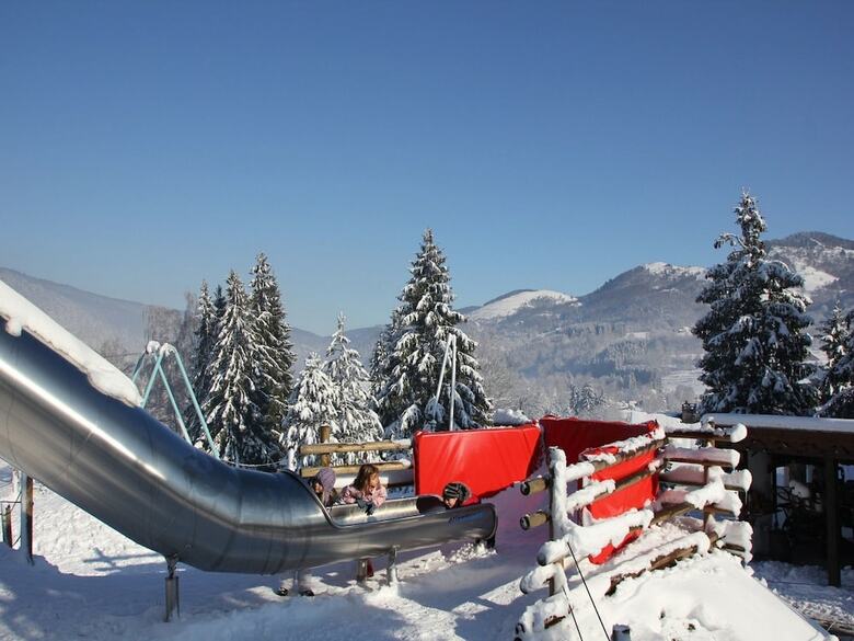 Cozy Chalet With Dishwasher, In The High Vosges