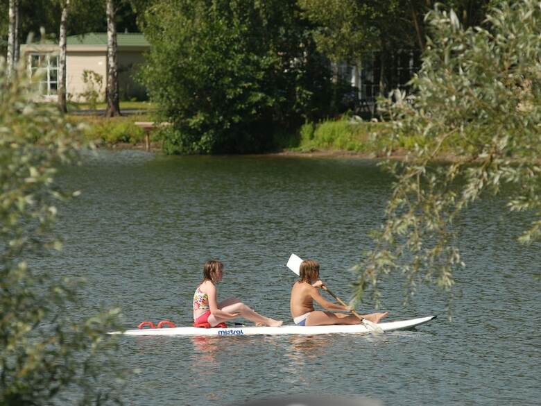 Comfortable Chalet With Wifi, Located In Green Twente