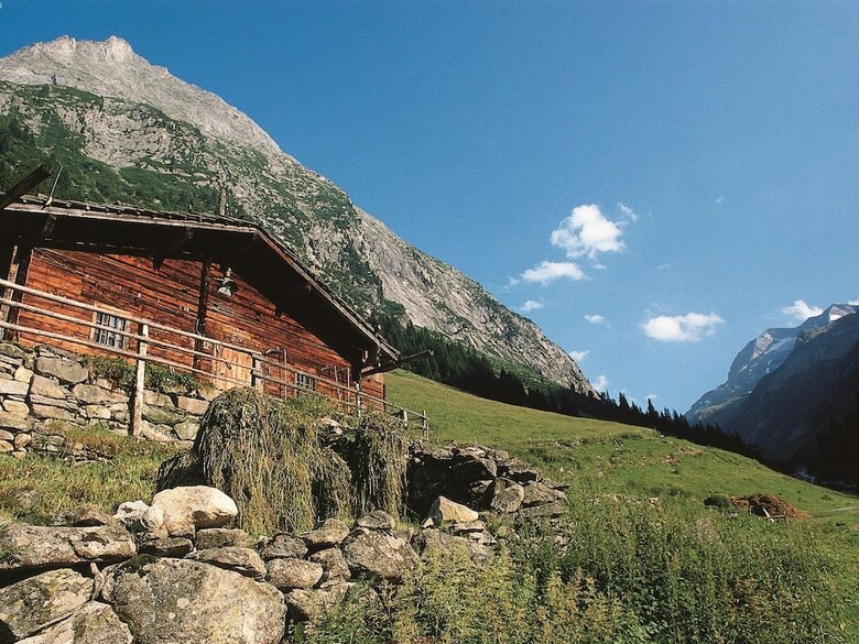 Cozy Apartment With Garden In Tyrol