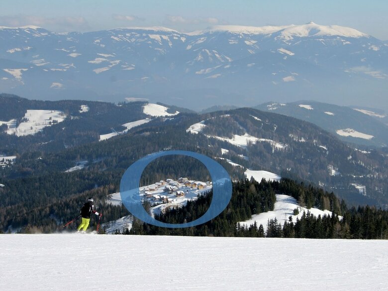 Exclusive Chalet In Wolfsberg With Sauna