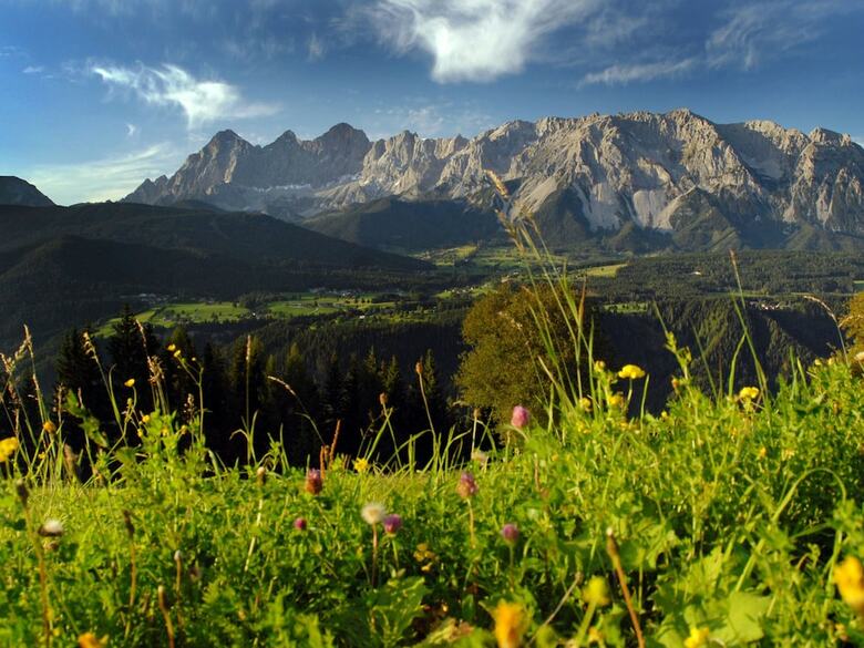 Warm Apartment In Ramsau Am Dachstein With Garden