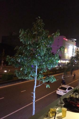 Bed & Breakfast Lam Long Luan Homestay
