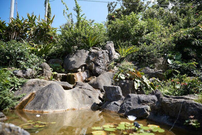 Churaya -yaedake With Japanese Garden-