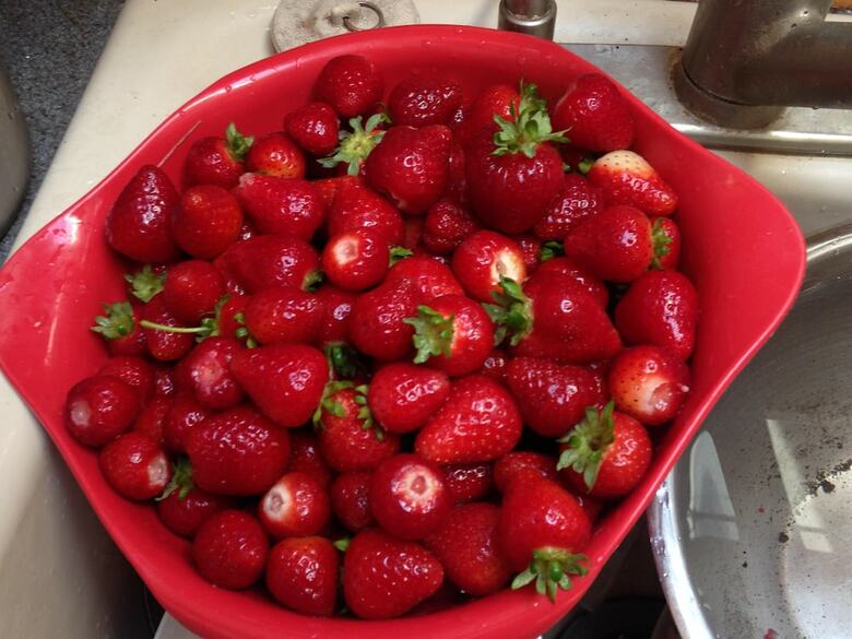 Agroturismo Nettles Farm