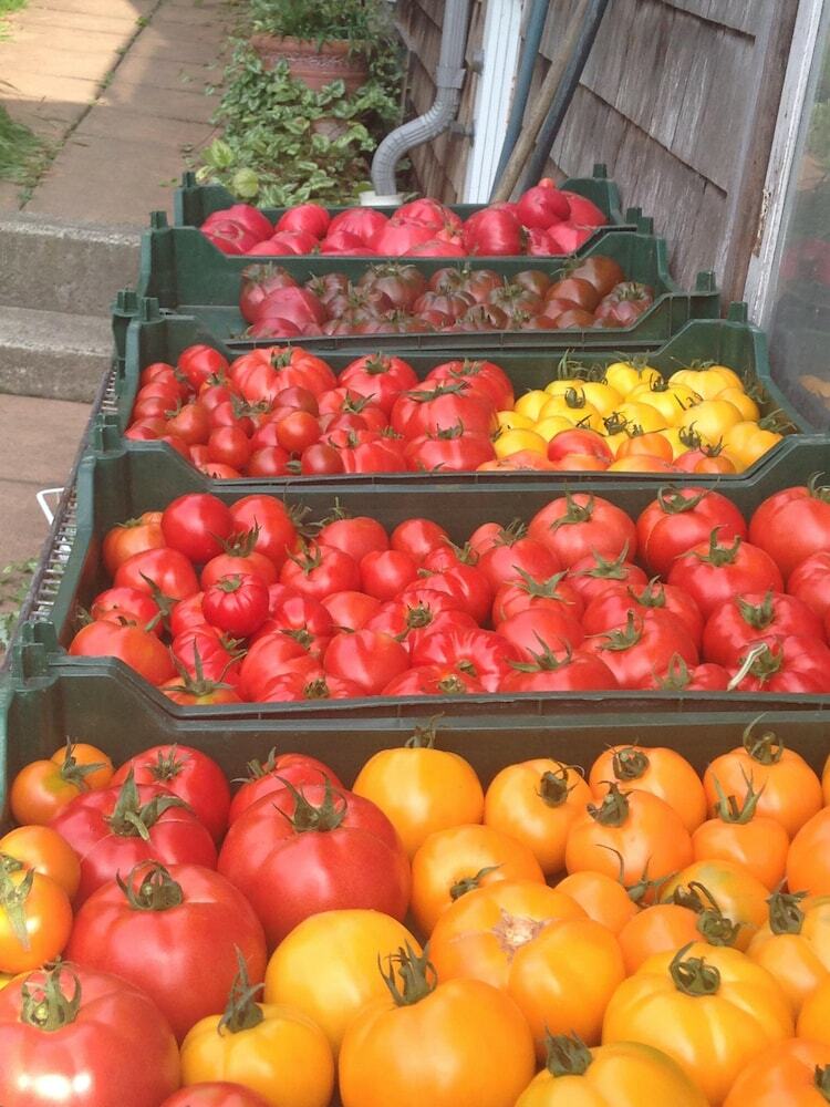 Agroturismo Nettles Farm