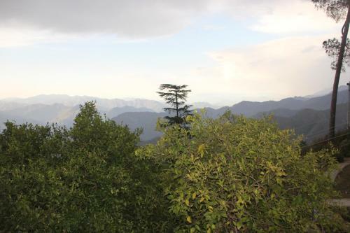 Bed & Breakfast Chandruma Cottage