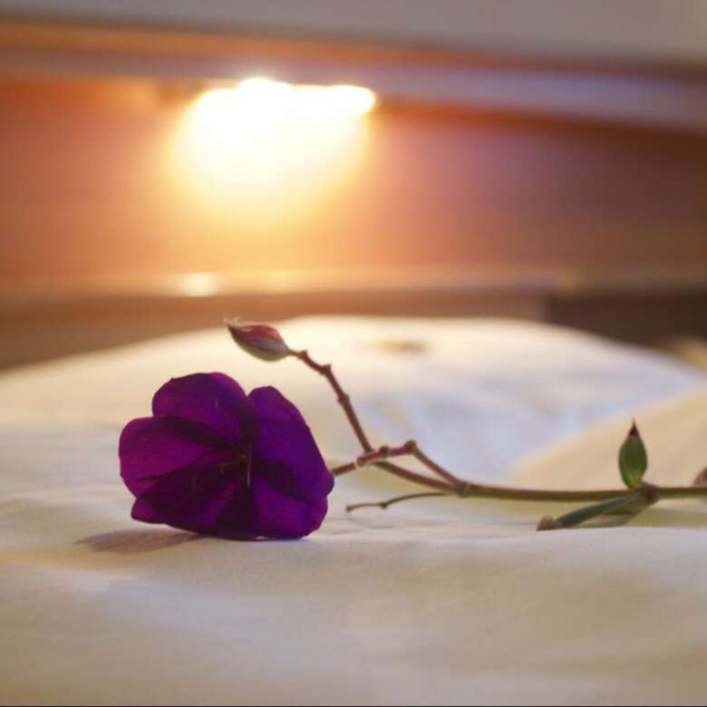 Hotel Wermelt