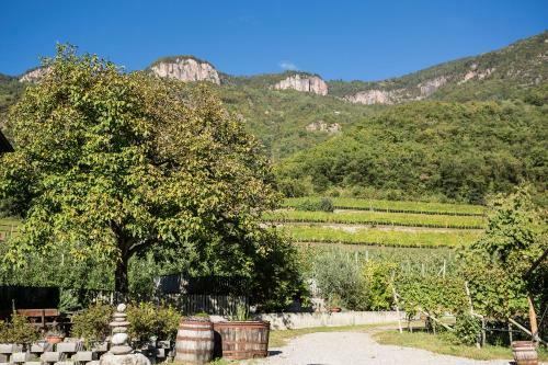 Agroturismo Ferienwohnungen Hochbrunner