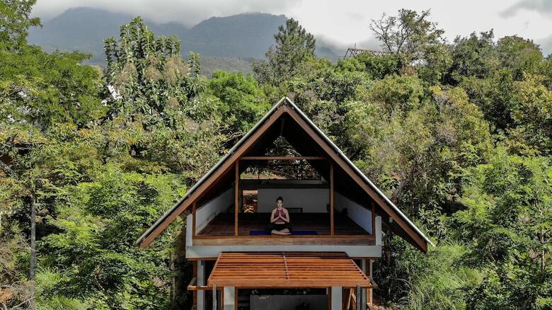 Hotel Treehouse Chalets