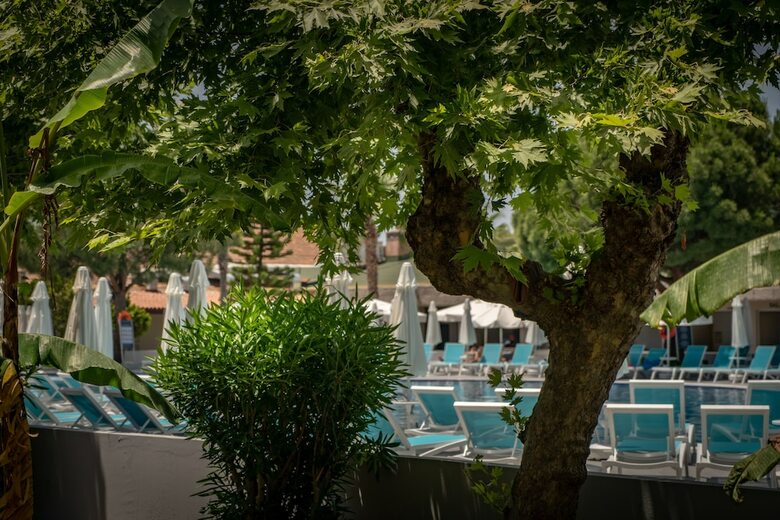Hotel Master Family Club - All Inclusive