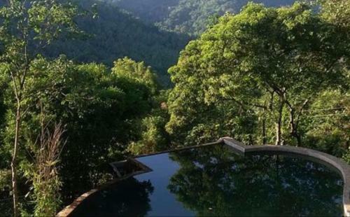 Hotel Birds Park Polgahawela