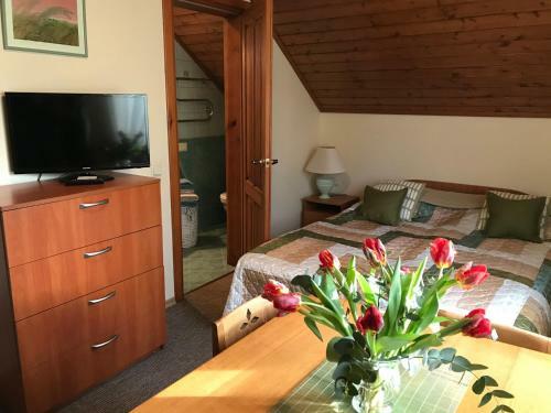 Apartamento O?upyn?