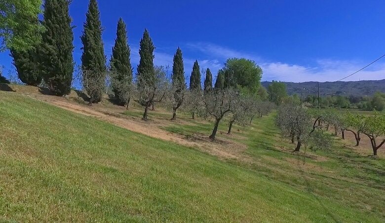 Agroturismo Appartamenti La Pineta