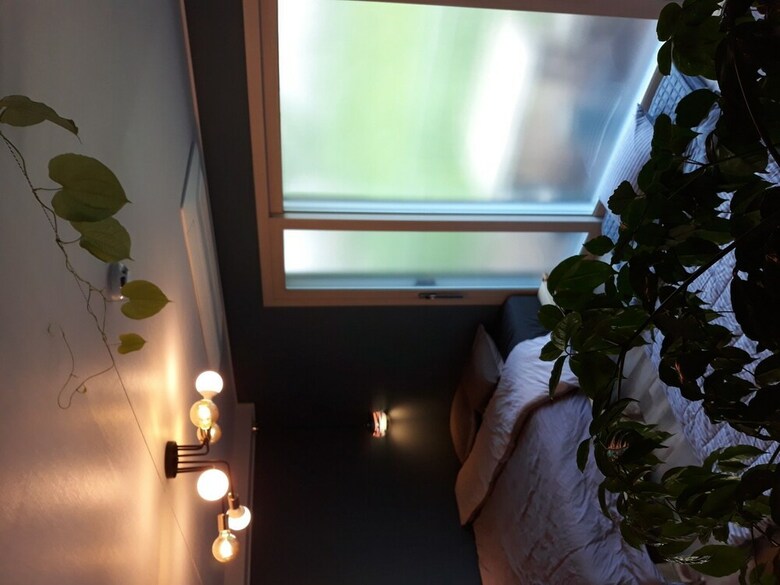 Hotel Flower And Shade