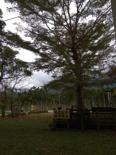 Dong Li Tea Homestay