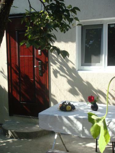 Hostal Lukomorye In Alakhadze Guest House