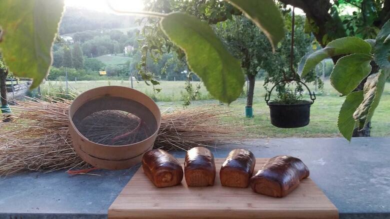 Agroturismo Agriturismo Ca' Sorci