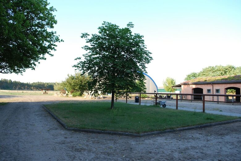 Ferienwohnung Auf Pferdehof Bei Neustadt