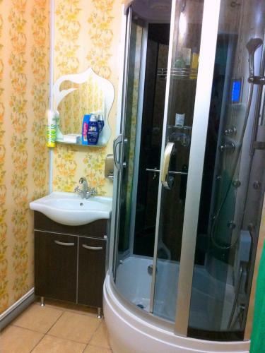Apartment Begicheva 43