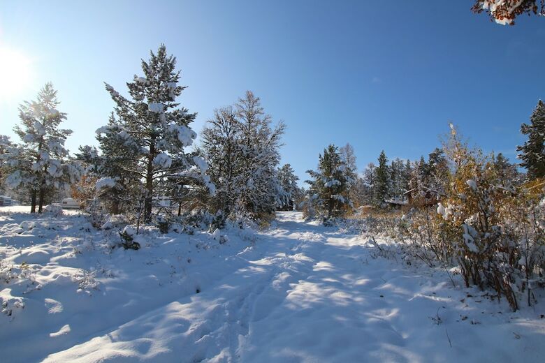 Cabana M�s�plassen - Friisvegen