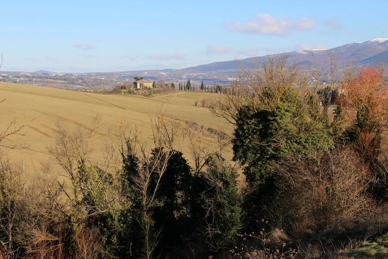 Bed & Breakfast Il Poggio Del Tartufo