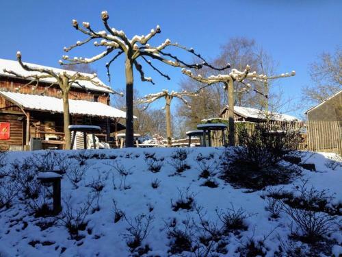 Bed & Breakfast Herberg Le Lognard