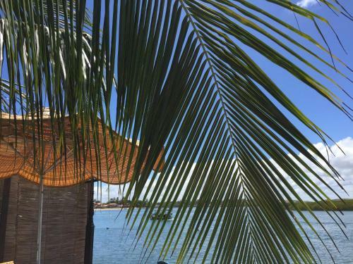 Casa Em Porto de Galinhas/toquinho