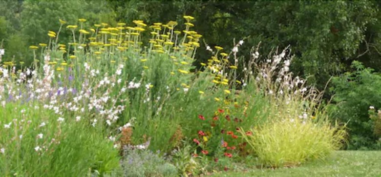 Agroturismo Le Jardin de Beyssin