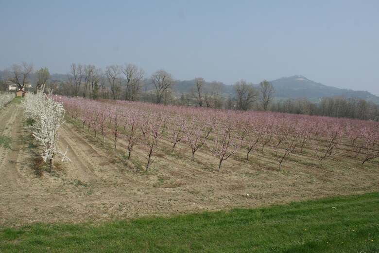Agroturismo Tenuta Terensano