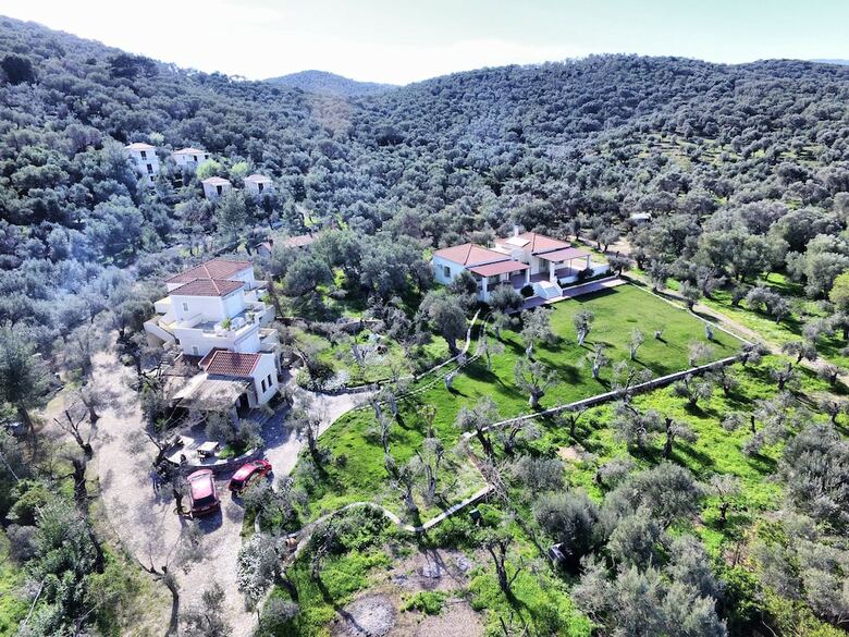 Hotel Gera's Olive Grove