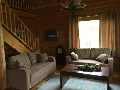 Hostal Ollinm�ki Vineyard