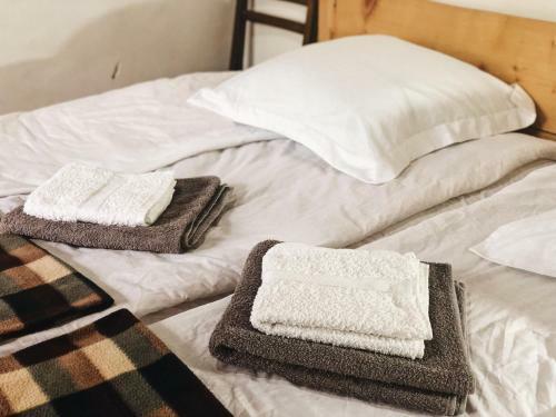 Hostal Hotel Svan-ski