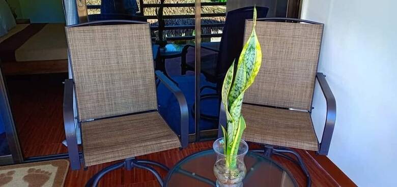 Hotel Sol Y Mar Beach Resort Siargao