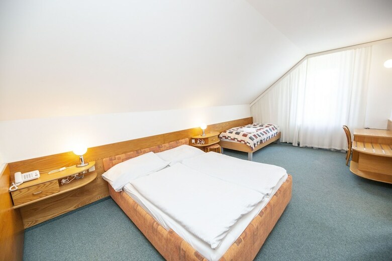 Hotel Ski