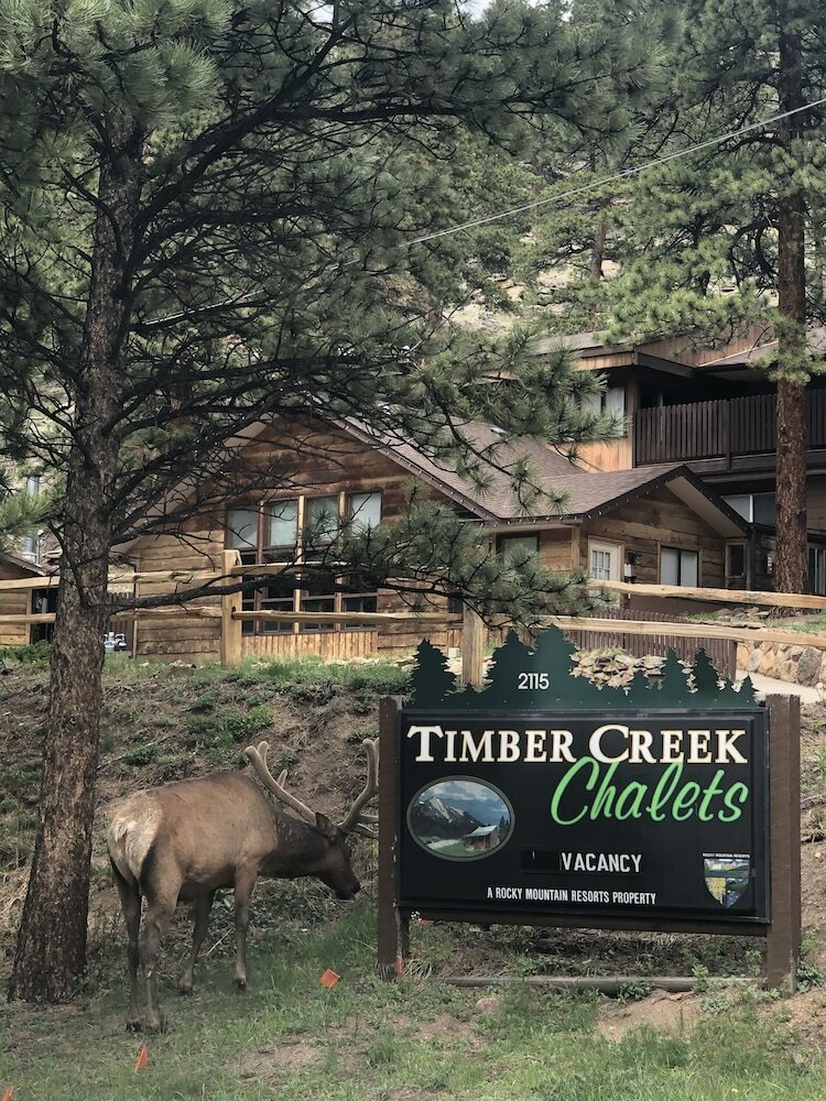 Timber Creek Chalets: 6