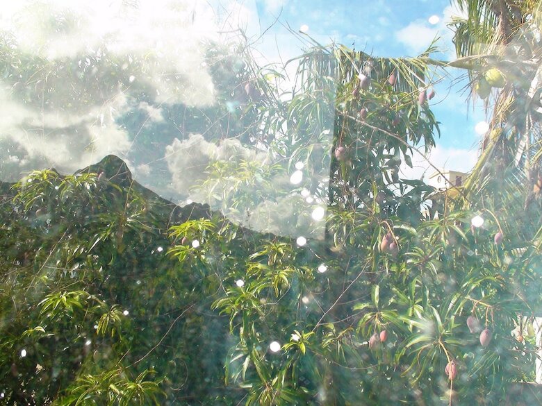 House With 3 Bedrooms In Coromandel, With Wifi