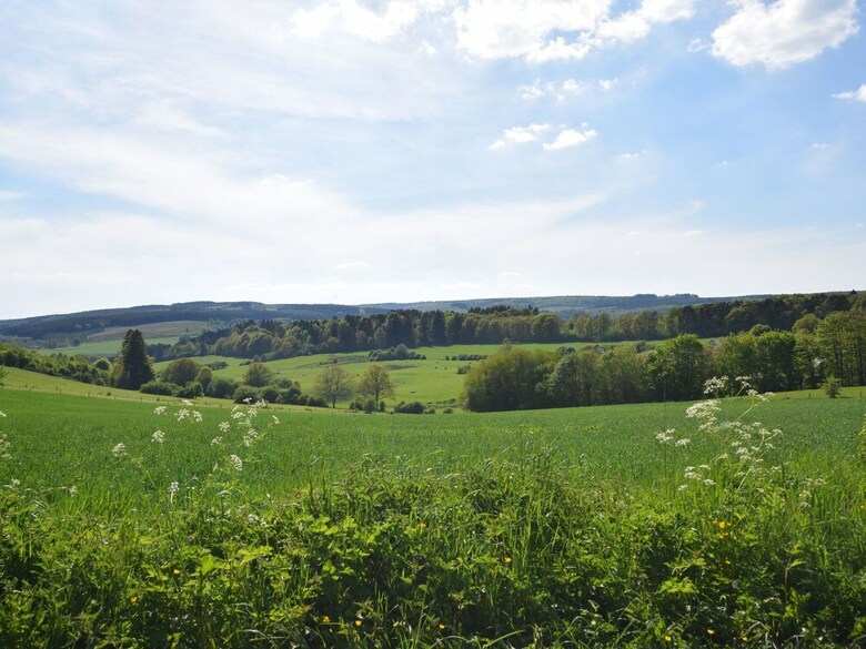 Spacious Holiday Home La Roche-en-ardenne With Pool