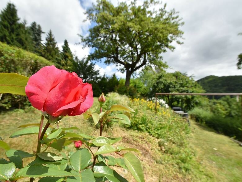 Modern Holiday Home In Deifeld With Private Garden