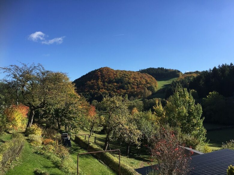 Modern Holiday Home In Deifeld With Private Garden