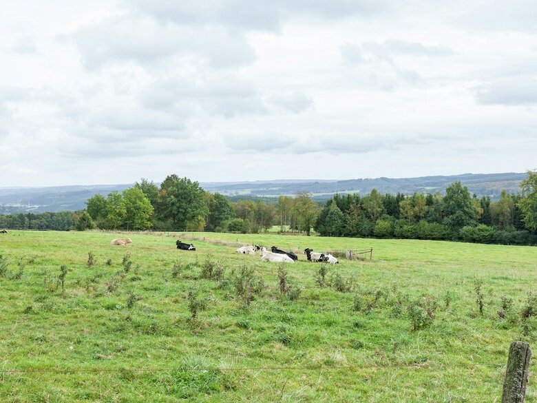 Attached Gite On The Edge Of The Forest