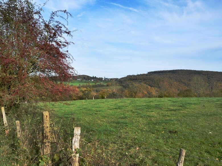 Luxurious Holiday Home With Sauna In Durbuy