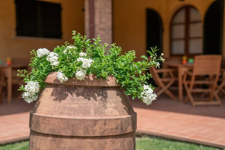 Agroturismo Agriturismo Borgo Bernabei