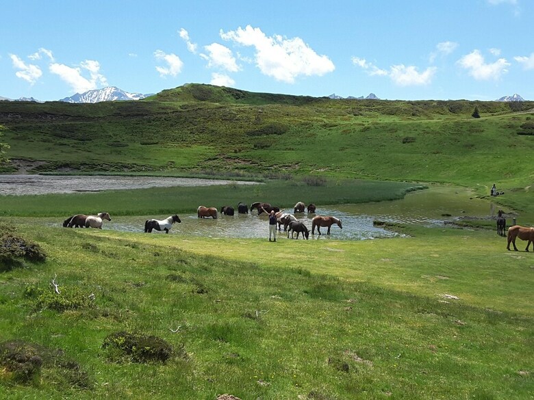 Les Hauts De Hurlevent Cottages