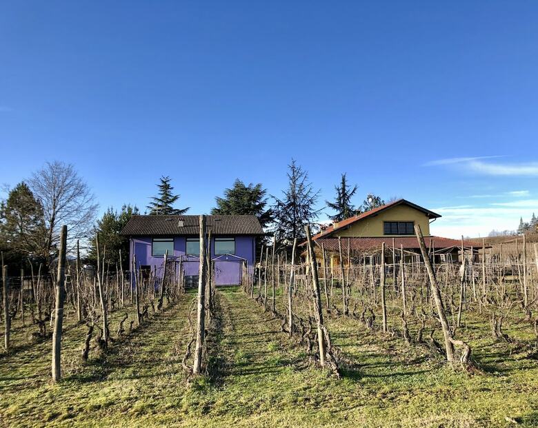 Agroturismo La Maddalena Bed & Wine