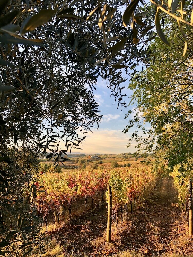 Agroturismo La Maddalena Bed & Wine